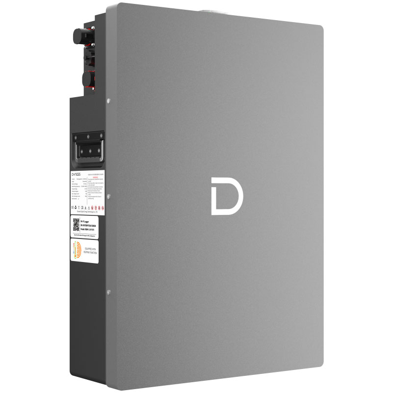 Акумулятор Dyness PowerHaus LiFePO4 51,2V 100Ah для гібридних інверторів — фото 1 з 4