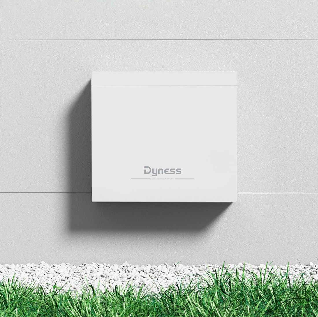 Акумуляторний блок DYNESS B4850-BOX-2 LiFePO4 48 В 100 А·год — фото 1 з 4